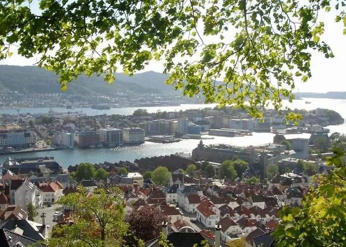 New! Modern Apt: W/ Private Entrence Apartament *